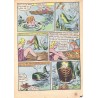 Sure-Fire Comics - Issue 002 August 1940