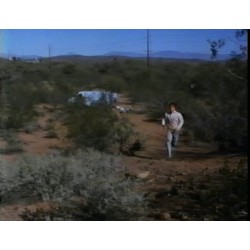 Desert Snow (1989)