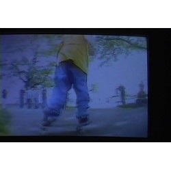 Sex, Hood, Skate, and Videotape (2006)